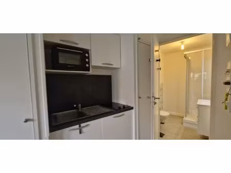 appartement à louer ecully