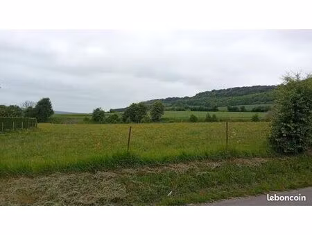 terrain 1 000 m² villy sur yeres