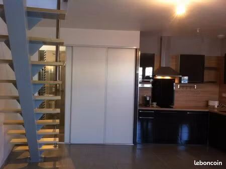 superbe appartement type duplex 55m2