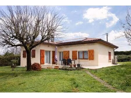 roses immobilier