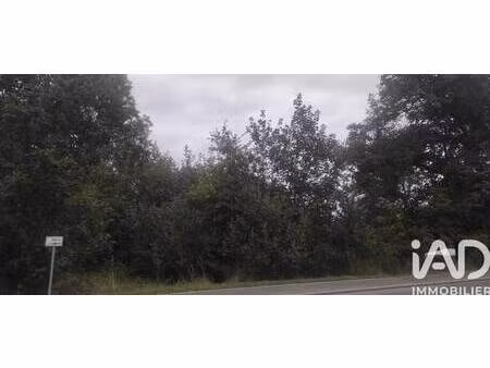 terrain à vendre