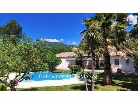 superbe villa avec piscine à besse-sur-issole – cadre exceptionnel & environnement préserv