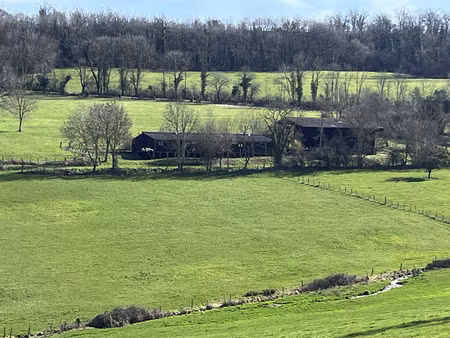 semur-en-auxois 20 min: maison de 360m²  10 pièces  6 chambres  terrain 1700m²  atelier. p