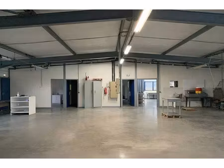 vente local d'activités annemasse 338 m²