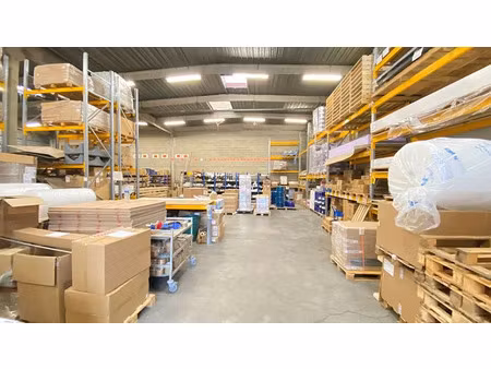 vente local d'activités torcy 692 m²