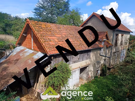 longère sur terrain de plus d'1 hectare