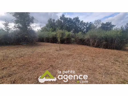 terrain constructible