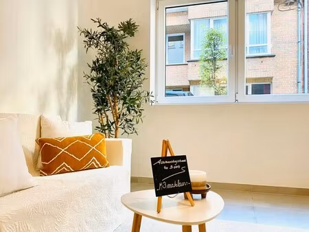 appartement te huur in bornem met 1 slaapkamer