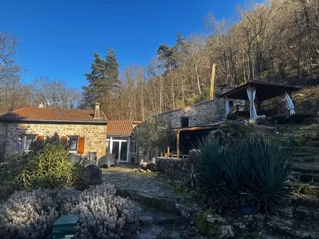 ensemble immobilier en pierre de pays avec dépendances et terrains