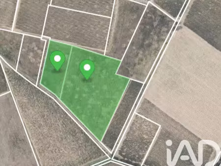 vente terrain 12411 m² raissac-d’aude (11200)