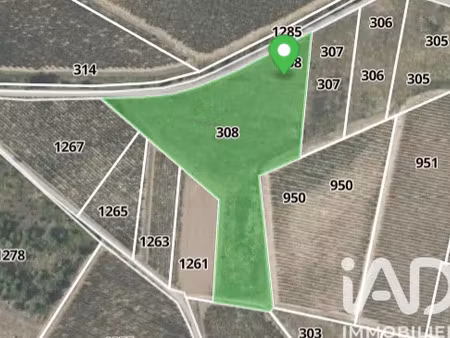 vente terrain 9750 m² raissac-d’aude (11200)