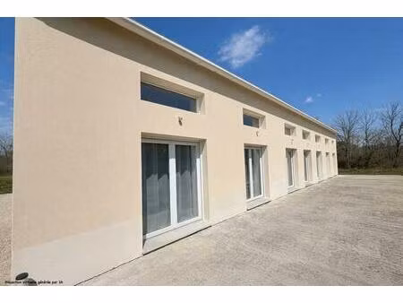 a 20min de sens  maison de plain-pied de 2025  9 pièces   4 chambres   exposition plein su