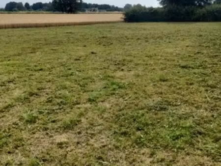 terrain promotion immobilière