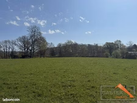 terrain 6 000 m² mane