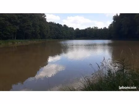 étang peche/loisirs 1ha400