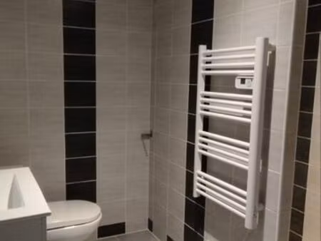 location maison de ville mas d'agenais