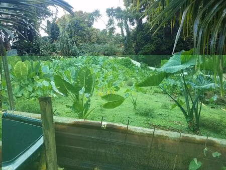 terrain 500 m2 a vendre au gros -morne