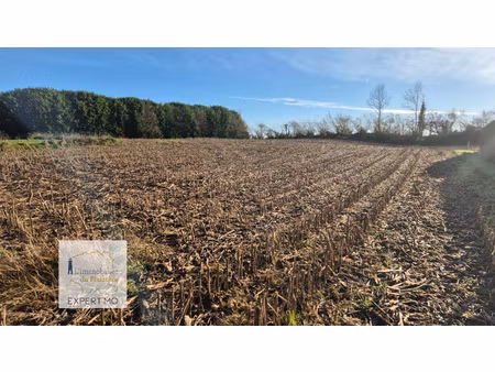 rosporden proche terrain constructible de 1002 m²