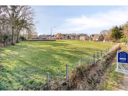 grond te koop in olen