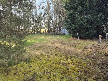 grand terrain constructible avec piscine