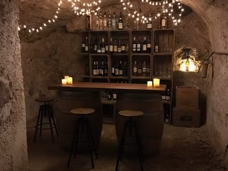 demeure de caractère - hyper centre beaugency - 200m2 - 13 pièces