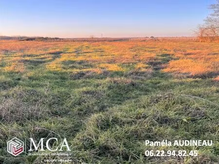 vente terrain 1550 m² cérons (33720)