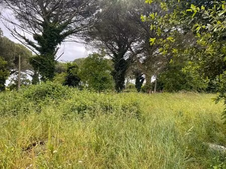 terrain à bâtir à saint-maixant (33490)