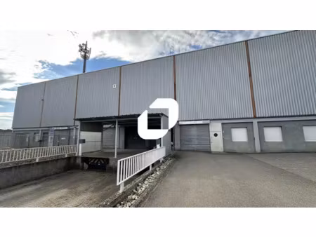 location local d'activités selestat 67600