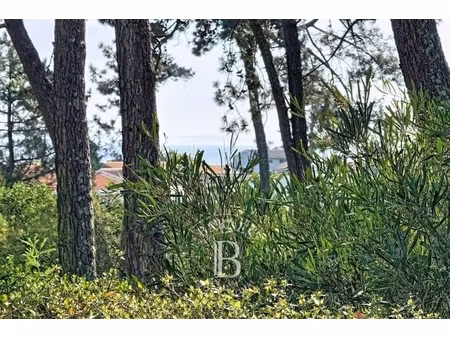 annonce maison à vendre