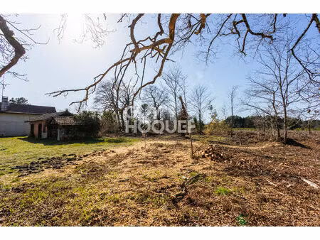 a vendre - grand terrain biscarrosse 1706 m²
