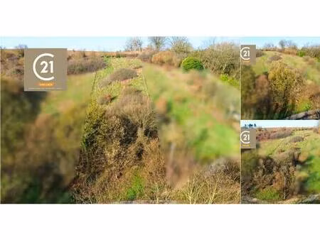 terrain à vendre à rue de walcourt silenrieux (vbd91900)