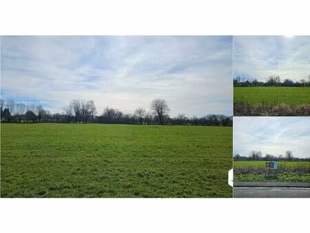 terrain à bâtir à vendre à rue du château d'eau (lot 7) seloignes (vwd16773)