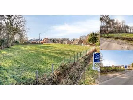 terrain à bâtir à vendre à schambraken 2 olen (rbv36790)