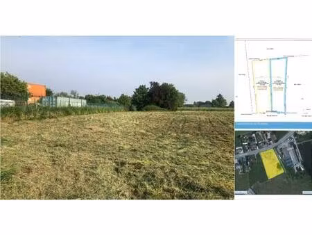 terrain à vendre de 1742 m² à rongy (rbu57187)