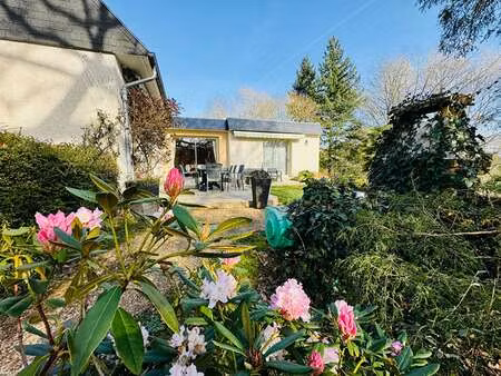 vente maison piscine au mans gazonfier (72000) : à vendre piscine / 181m² le mans gazonfie