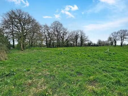 vente terrain à plessé (44630) : à vendre / 876m² plessé