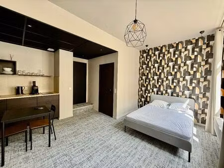 location appartement 1 pièce 21 m² à saint-étienne (42000)