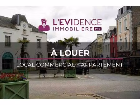 location commerce 144 m² à savenay (44260)