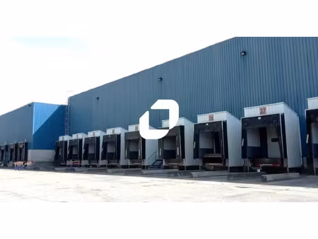 location entrepôt pont de veyle 01290