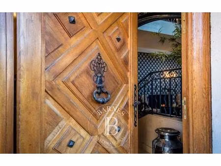 millau/centre-ville - maison avec jardin