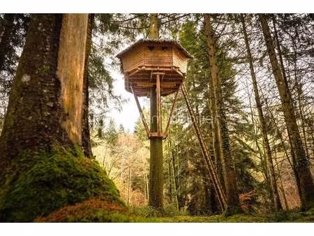 lisa gardarin bsk immobilier