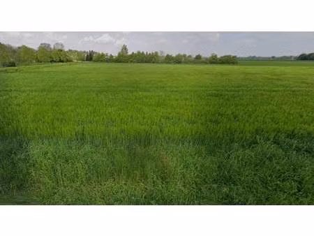 terrain constructible à vendre