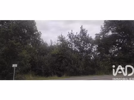 vente terrain 1363 m² vescheim (57370)