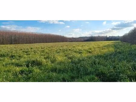 terrain constructible viabilisé à vendre