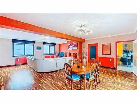 spacieux appartement 3 ch avec terrasse - jardin - garage