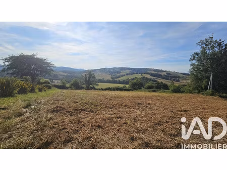 vente terrain 1949 m² uhart-mixe (64120)