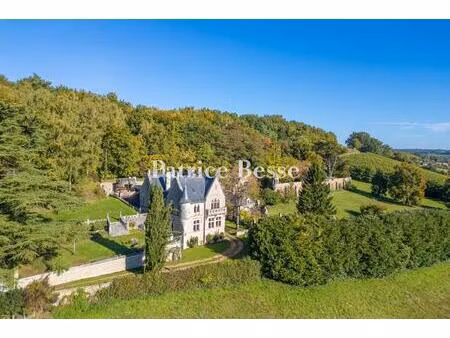 proche de la chartre-sur-le-loir  en position dominante  un château néo-gothique classé...