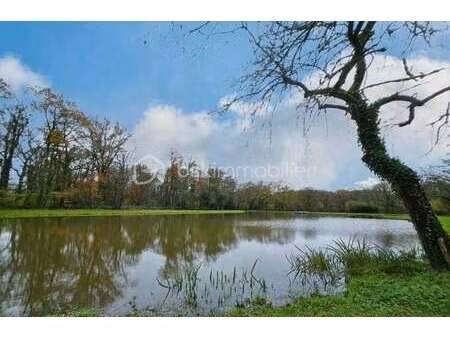 vente terrain à montsûrs-saint-céneré (53150) : à vendre / 9100m² montsûrs-saint-céneré