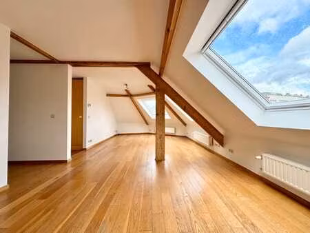 ! new ! appartement lumineux avec terrasse - 2 ch - 110m²