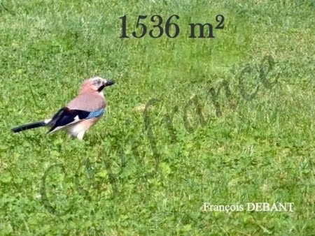 terrain à vendre juniville (08)